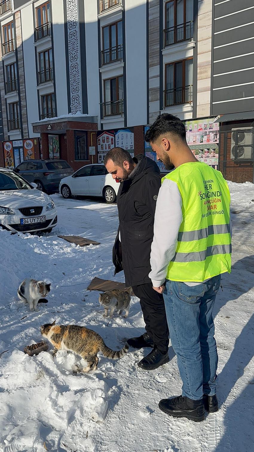Merhametin Ayak İzleri: AK Gençlik Bingöl