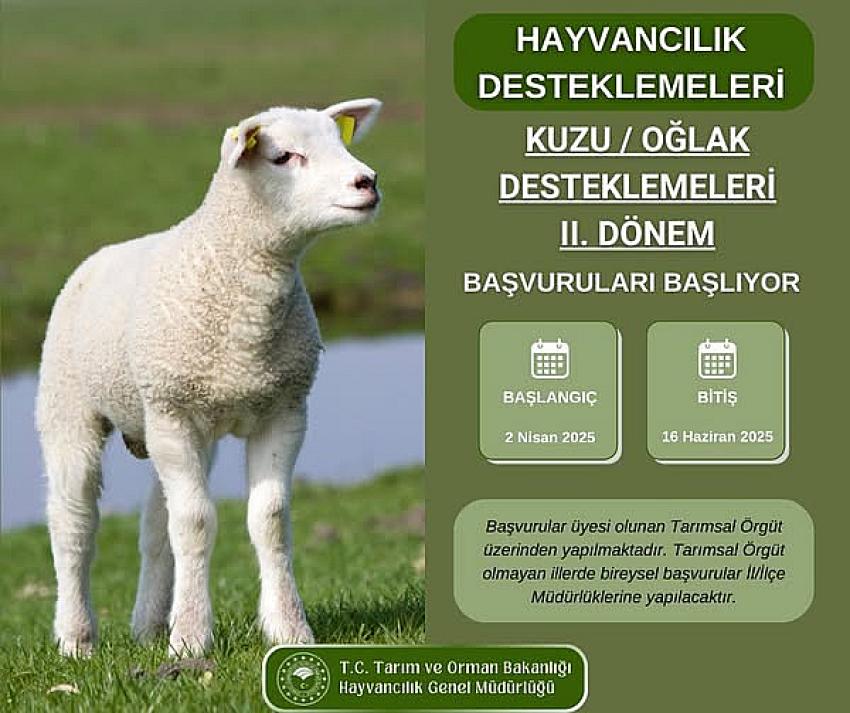 Kuzu ve Oğlak Destekleri 