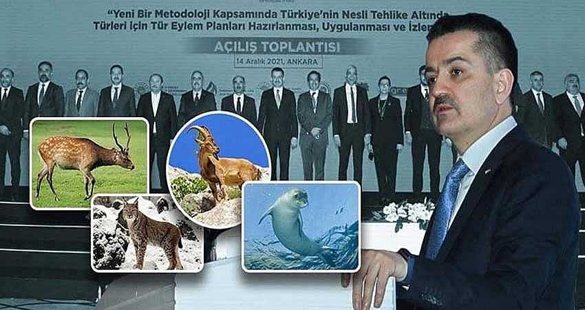 HAYVANLARIN KORUNMASI İÇİN AVCILIĞA SON VERİLMELİ!