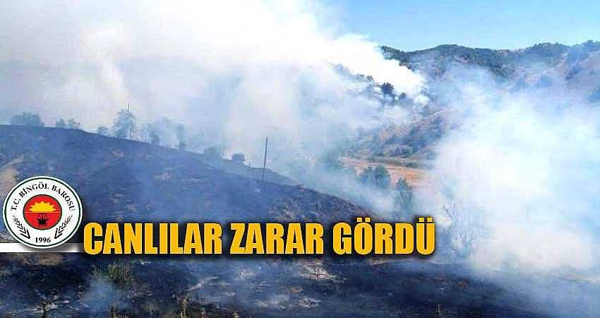 “BİRÇOK CANLININ YAŞAM ALANI YOK OLDU”