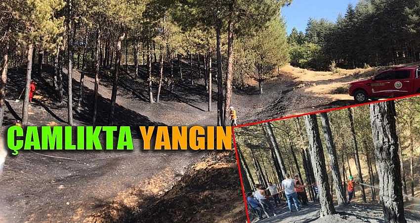 ÇAMLIKTAKİ YANGIN SÖNDÜRÜLDÜ