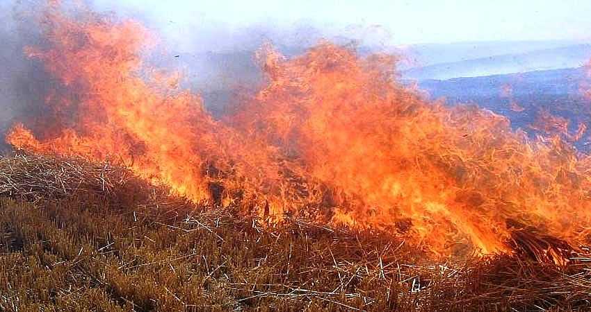 ANIZ YAKANLARA CEZA KESİLECEK