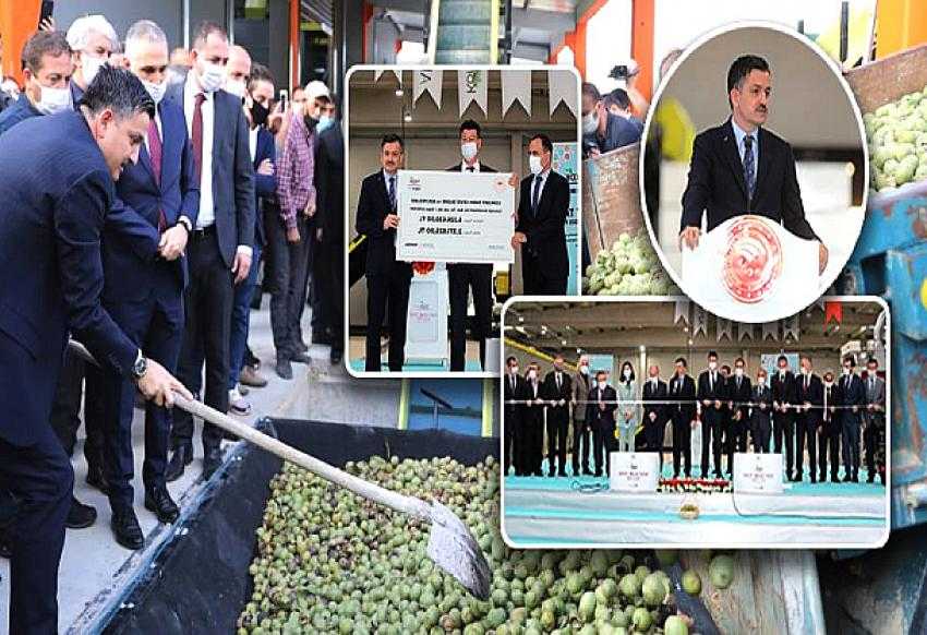 En çok cevİz üreten ülkeler arasındayız