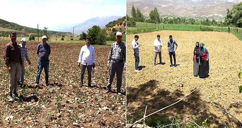 TESCİLLİ FASULYE TOHUMLARI TOPRAKLA BULUŞTU