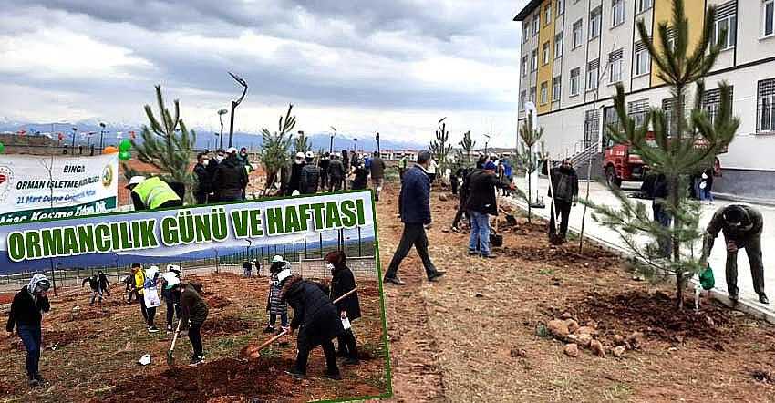 1200 FİDAN TOPRAKLA BULUŞTU