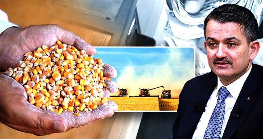 TARIMDA DESTEK ÖDEMELERİ BAŞLADI