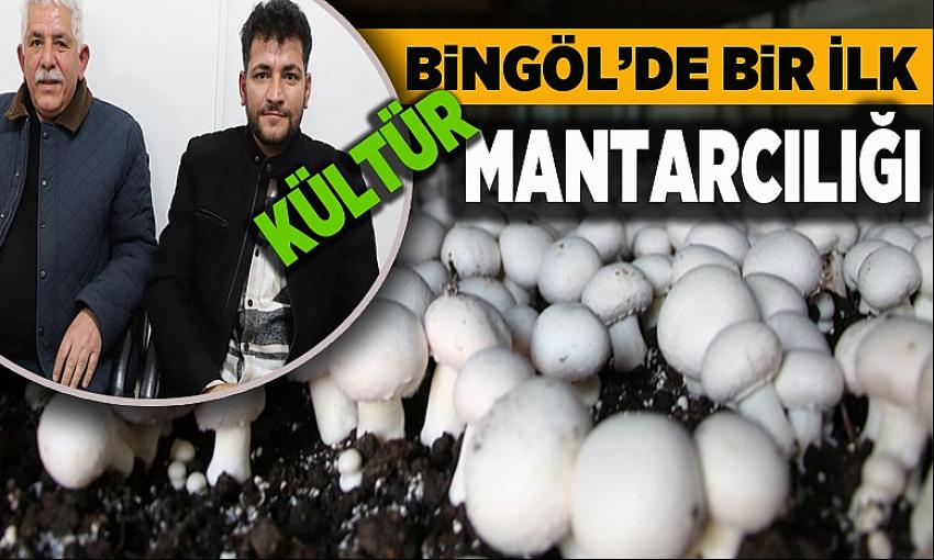 Bingöl’de Bir İlk Kültür Mantarcılığı