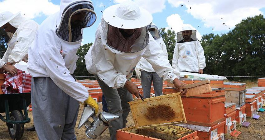 BAL YARIŞMASI İÇİN BAŞVURU TARİHİ UZATILDI