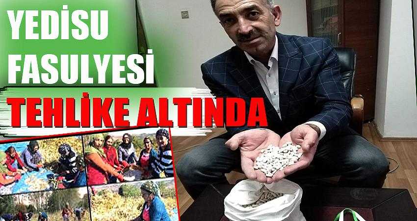 Ünlü Yedisu Fasulyesi tehlike altında