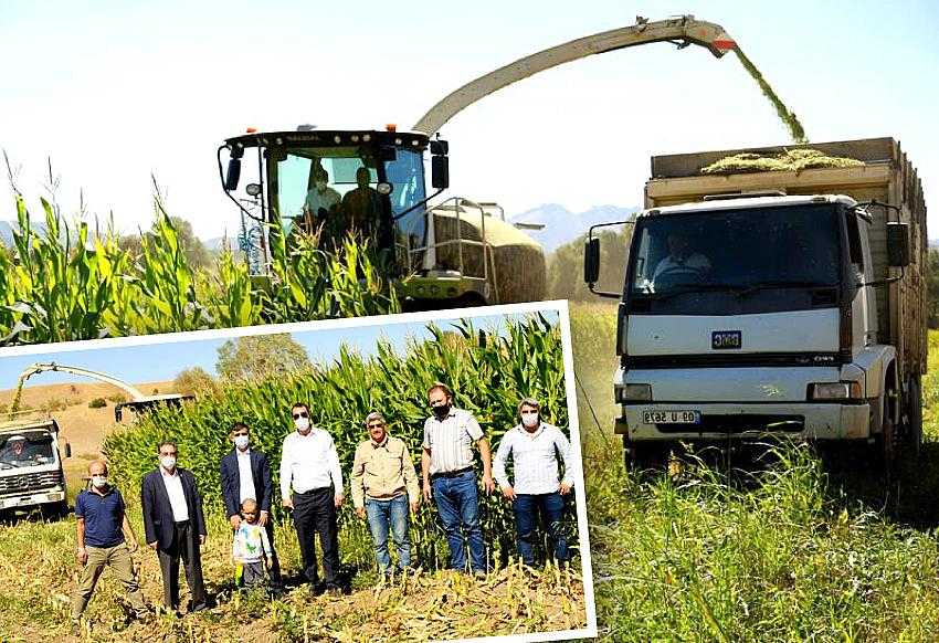 BİNGÖL'DEN SİLAJLIK YEM SATIŞI